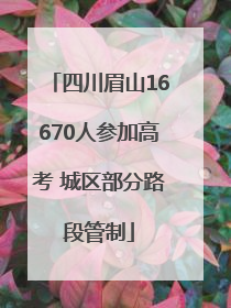 四川眉山16670人参加高考 城区部分路段管制