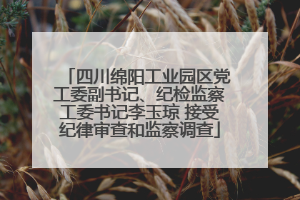 四川绵阳工业园区党工委副书记、纪检监察工委书记李玉琼 接受纪律审查和监察调查