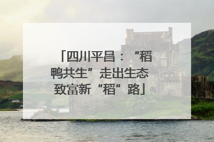 四川平昌：“稻鸭共生”走出生态致富新“稻”路
