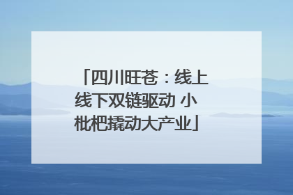 四川旺苍：线上线下双链驱动 小枇杷撬动大产业