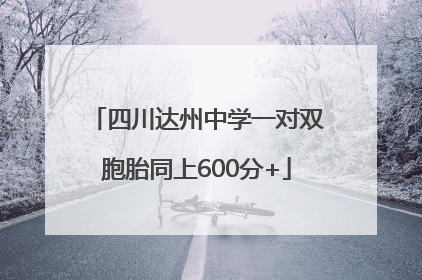 四川达州中学一对双胞胎同上600分+