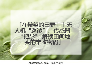 在希望的田野上丨无人机“巡诊”、传感器“把脉” 解锁田间地头的丰收密码