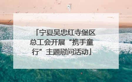 宁夏吴忠红寺堡区总工会开展“携手童行”主题慰问活动