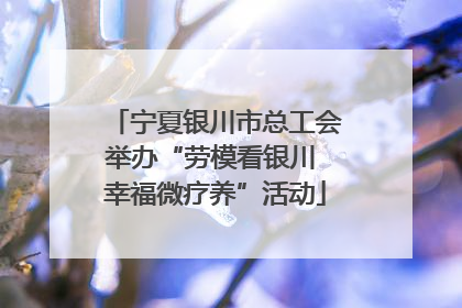 宁夏银川市总工会举办“劳模看银川 幸福微疗养”活动