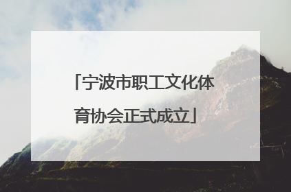 宁波市职工文化体育协会正式成立