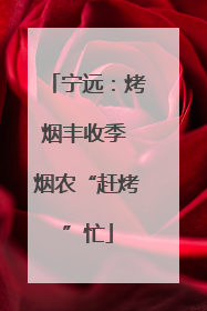 宁远：烤烟丰收季 烟农“赶烤”忙