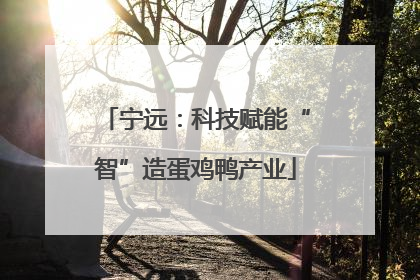 宁远：科技赋能“智”造蛋鸡鸭产业