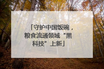 守护中国饭碗，粮食流通领域“黑科技”上新