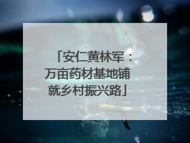安仁黄林军：万亩药材基地铺就乡村振兴路