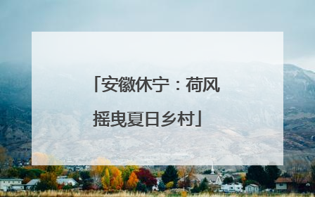 安徽休宁：荷风摇曳夏日乡村