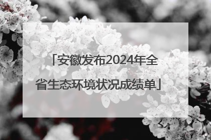 安徽发布2024年全省生态环境状况成绩单
