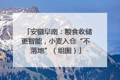 安徽阜南：粮食收储更智能，小麦入仓“不落地”（组图）