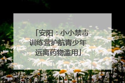 安阳：小小禁毒训练营护航青少年远离药物滥用