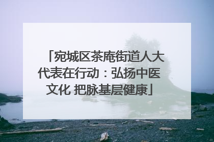 宛城区茶庵街道人大代表在行动：弘扬中医文化 把脉基层健康