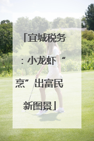 宜城税务：小龙虾“烹”出富民新图景