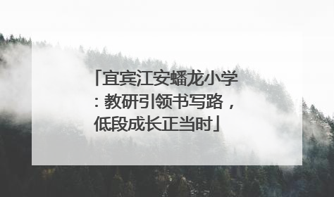 宜宾江安蟠龙小学：教研引领书写路，低段成长正当时