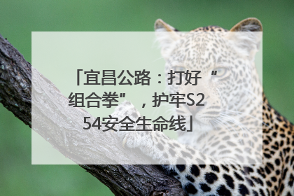 宜昌公路：打好“组合拳”，护牢S254安全生命线