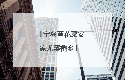 宝岛黄花菜安家尤溪畲乡