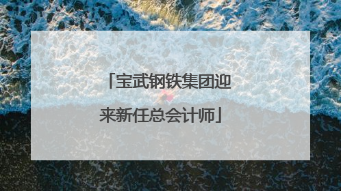 宝武钢铁集团迎来新任总会计师