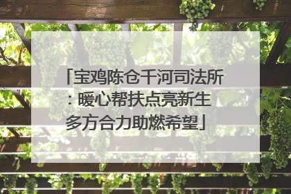 宝鸡陈仓千河司法所：暖心帮扶点亮新生 多方合力助燃希望