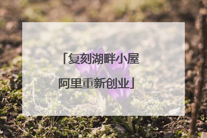 复刻湖畔小屋 阿里重新创业