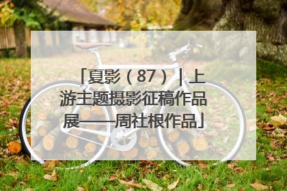 夏影（87）｜上游主题摄影征稿作品展——周社根作品