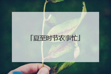 夏至时节农事忙