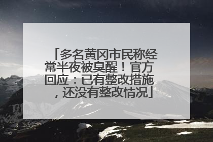 多名黄冈市民称经常半夜被臭醒！官方回应：已有整改措施，还没有整改情况