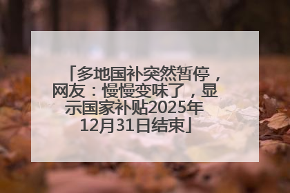 多地国补突然暂停，网友：慢慢变味了，显示国家补贴2025年12月31日结束