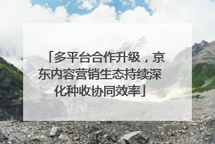 多平台合作升级，京东内容营销生态持续深化种收协同效率