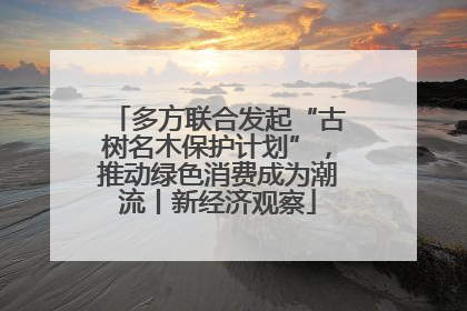 多方联合发起“古树名木保护计划”，推动绿色消费成为潮流丨新经济观察