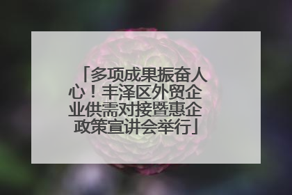 多项成果振奋人心！丰泽区外贸企业供需对接暨惠企政策宣讲会举行