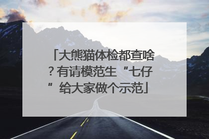 大熊猫体检都查啥？有请模范生“七仔”给大家做个示范