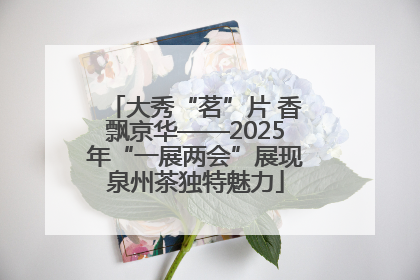 大秀“茗”片 香飘京华——2025年“一展两会”展现泉州茶独特魅力