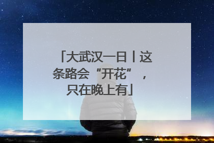 大武汉一日丨这条路会“开花”，只在晚上有