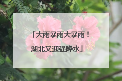 大雨暴雨大暴雨！湖北又迎强降水