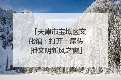 天津市宝坻区文化馆：打开一扇传播文明新风之窗