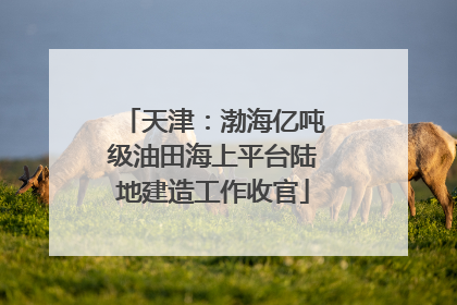 天津：渤海亿吨级油田海上平台陆地建造工作收官