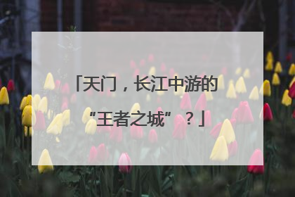 天门，长江中游的“王者之城”？