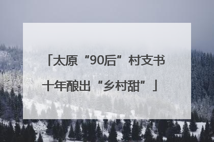 太原“90后”村支书十年酿出“乡村甜”