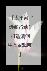 太平河“焕新行动” 打造滨河生态景观带