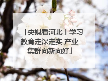 央媒看河北丨学习教育走深走实 产业集群向新向好