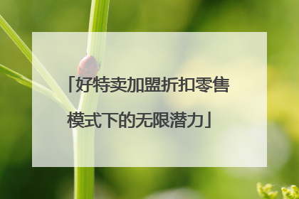 好特卖加盟折扣零售模式下的无限潜力
