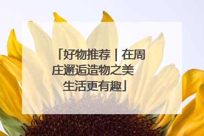 好物推荐｜在周庄邂逅造物之美 生活更有趣