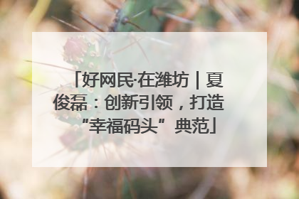 好网民·在潍坊｜夏俊磊：创新引领，打造“幸福码头”典范