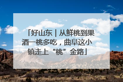 好山东｜从鲜桃到果酒一桃多吃，曲阜这小镇走上“桃”金路