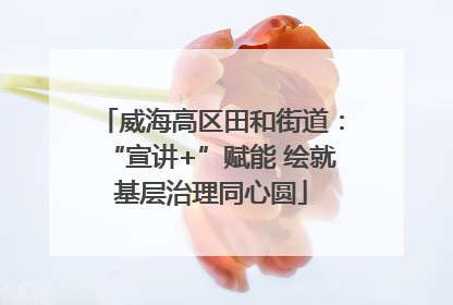 威海高区田和街道：“宣讲+”赋能 绘就基层治理同心圆