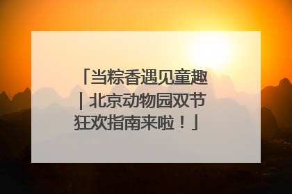 当粽香遇见童趣｜北京动物园双节狂欢指南来啦！