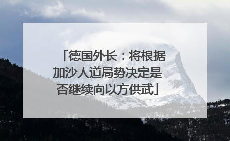 德国外长：将根据加沙人道局势决定是否继续向以方供武