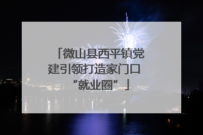 微山县西平镇党建引领打造家门口“就业圈”